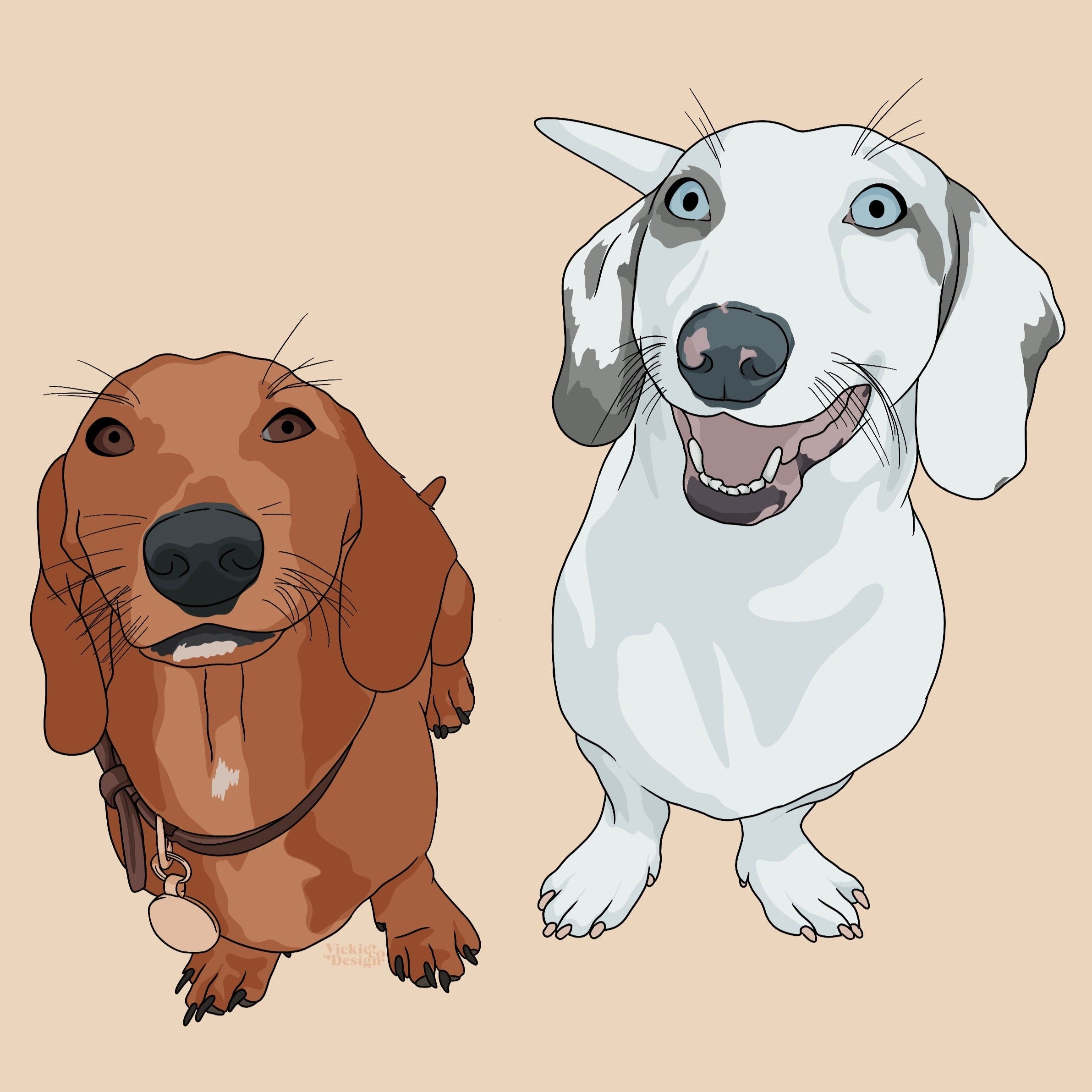 Pet Illustration of two sausage dogs one is brown and the other is white and grey